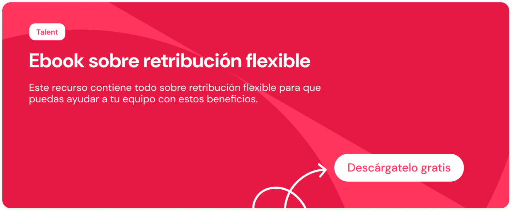 ebook retribucion flexible