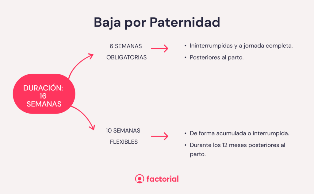 infografia de la duración de baja por paternidad