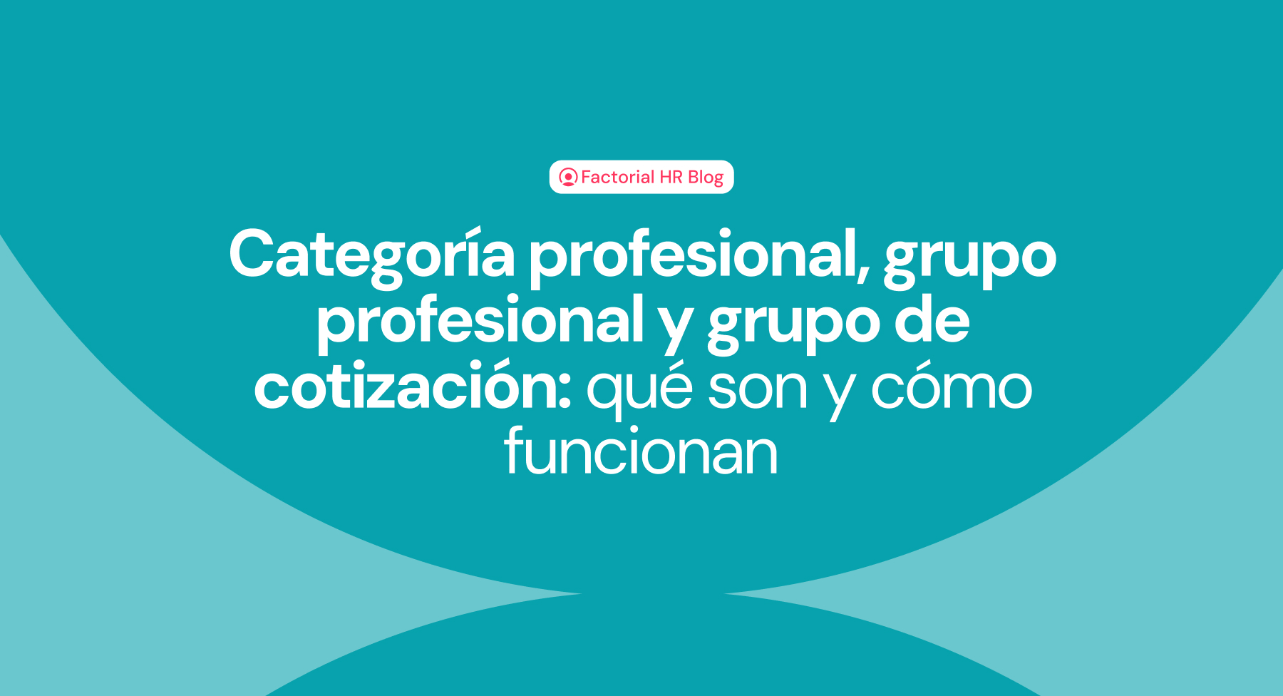 Categoría profesional, grupo profesional y grupo de cotización