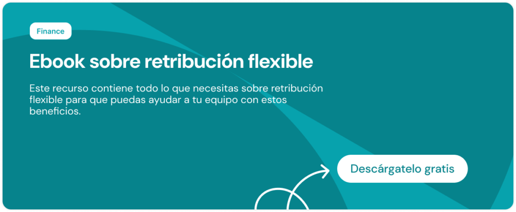 retribucion flexible ebook